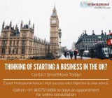 Acquire UK Investor Visa through different business structures