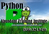 Python Programing Web Sites Abundant Training