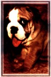 Limited Edition Collector s Item &quotI miss you" Vintage Po
