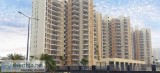 3 and 3.5 BHK Beautiful Apartments for Sale in Sector 79 Gurgaon