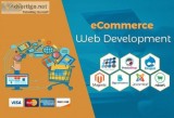 Best Ecommerce Website Development Company in USA  Call Now 954-