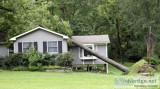 What Steps Should You Take When a Tree Falls On Your House