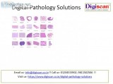 Oral pathology quiz
