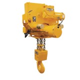 Electrical Hoist and Chain Hoist Manufacturers Suppliers Delhiin