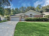 Beautiful home for you
