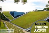 Benefits of Green Roofing