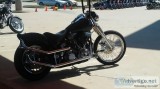 1999 Harley Davidson custom softail