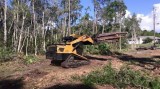 Forestry mulching Land clearing Tree shaping trimming and remova