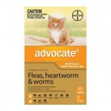 Advocate For Kittens and Small Cats Up To 4Kg (Orange)