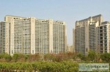 4 BHK Service Apartment in DLF the Magnolias for Rent