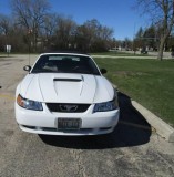 Mustang Ford GT Convertable