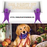 Order for DIY paint by numbers kit With fast Shipping