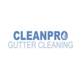 Clean Pro Gutter Cleaning Tacoma