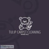 Tulip Carpet Cleaning Aspen Hill  Carpet Cleaning Silver Spring