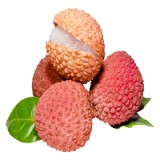 Buy Fresh Fruits Online  Sabjikiranastore.in