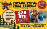 forestry mulching land clearing tree removal or trimming