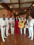 Mariachi