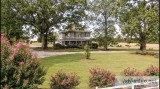 SC Historic Home with Acreage Auction