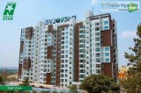 Coevolve Northern Star  Northern Star Bangalore  Coevolve Thanis