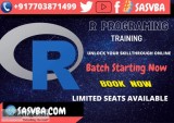 R Programming Language Training