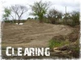 Forestry mulching Land clearing Tree shaping trimming and remova