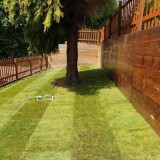 Best service of Garden Maintenance in Chalk