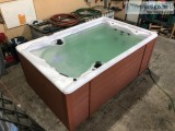 custom Swim Spas made in Mohnton PA