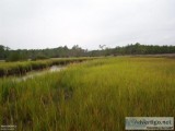 (111.19) acres of Land in Beaufort  00 Acreage N. River Road