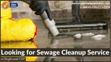 Looking for Sewage Cleanup Service at Englewood CO