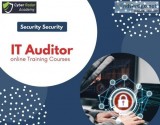 IT Auditor Practical Training Course