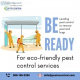 Best Pest Control Company In Jaipur at low cost  Pesto Control