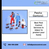 Industrial Pest Control in Jaipur  Industrial Pest Control Servi