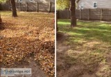 Leaf removal and Lawncare