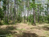 (1.31) Land for Sale in Beaufort  101 Sandy Huss Drive