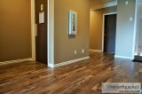 Flooring Edmonton  Carpet Installation Edmonton  Touchtone