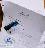 NY INTERNATIONAL POWER OF ATTORNEY APOSTILLE SERVICES (7 Days a 