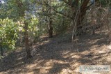 Land for Sale - close to Lake Gregory