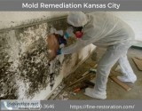 247 Mold Remediation Service in Kansas City