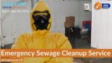 Emergency Sewage Cleanup Service in Englewood CO