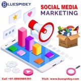 Best Social Media Marketing Agency in Delhi NCR
