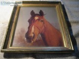 Palomino in a custom size wood frame