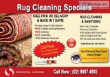 Rug Cleaning services