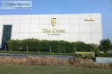 DLF The Crest for Rent on Golf Course Road Gurgaon