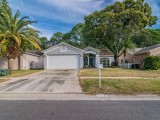 Wonderful 3 bedroom 2 bathroom single story home in Tampa.