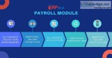 Payroll Software Service By TheERPHub - Vadodara Surat Ahmedabad