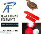 Quail Farming Equipment Suppliers in India