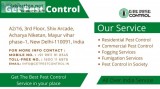 Pest control in chennai, pest control charges in chennai