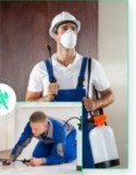 Pest Control Services Pimpama  Thepestandtermitecom pany.com.au