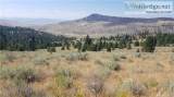 40 Acres on Peaceful Mountain Side