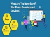 What Are The Benefits Of WordPress Development Services